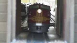 Huge amounts of G Scale Trains [upl. by Brandyn584]