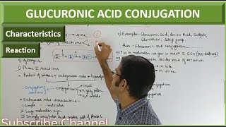 GLUCURONIC ACID CONJUGATION Phase II reaction of Metabolism Biotransformation of Drugs [upl. by Lemraj]