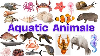 Aquatic animals vocabulary  Water animals names for kids aquaticanimals aquatic animalsname [upl. by Nired]