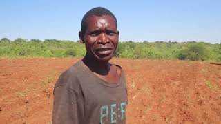 UNPREDICTABLE WEATHER THREATENS FOOD SECURITY IN LIVINGSTONE [upl. by Lraep]