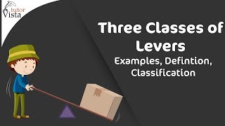 Three Classes of Levers  Examples Defintion Classification [upl. by Meadows]