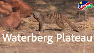 Waterberg Plateau and what is on top [upl. by Reeta20]