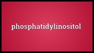 Phosphatidylinositol Meaning [upl. by January907]