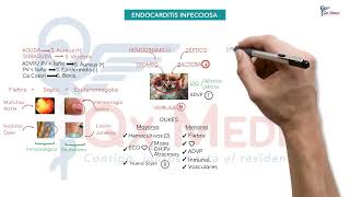 Cardiología  10 Endocarditis infecciosa [upl. by Hokanson345]