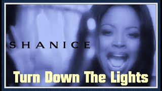 Shanice  Turn Down The Lights Official Video 1994 [upl. by Atidnan]