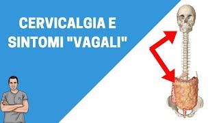 Dolore cervicale e sintomi quotvagaliquot tachicardia svenimenti vertigini [upl. by Ricca]