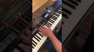 Roland RD2000 EX  Split keyboardist keyboardtutorial pianotutorial pianist musicproduction [upl. by Annaerdna]