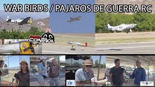 🪖 Conoce los aviones WAR BIRDS RC 💣rwportaje geial de Aeromodelismo 🚩 [upl. by Lauren]