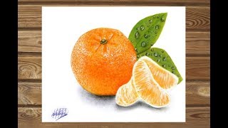 Dibujo realista de una mandarina  HD Realistic drawing of mandarin [upl. by Caravette]