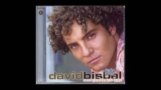 Digale  David Bisbal  Karaoke Original  Instrumental [upl. by Enyrhtac]