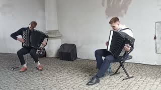 Street Accordion Instrument Performers accordion travel music poland viralvideo trending [upl. by Innek]