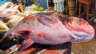 Expensive Fish Cutting Skills  Huge Silver CarpBighead Fish Cutting Skills In Fish Market [upl. by Mulcahy]