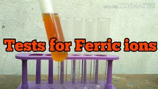 Tests for Ferric ions [upl. by Acined]