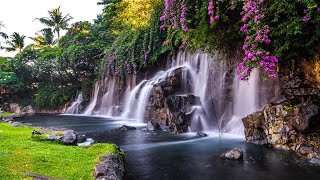 Relaxing Zen Music with Water Sounds • Peaceful Ambience for Spa Yoga and Relaxation [upl. by Knowles206]