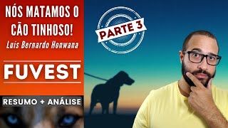 NÓS MATAMOS O CÃO TINHOSO  PARTE 34  FUVEST  Luís Bernardo Honwana  Resumo  Análise [upl. by Jasik]