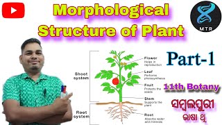 MORPHOLOGICAL STRUCTURE OF PLANT11th botanyby chudamani sir [upl. by Raleigh510]