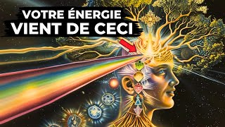 Comment Protéger Votre Énergie Des Basses Vibrations URGENT [upl. by Christianity]