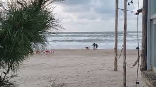 Bergen aan Zee Onstuimige Zee HerfstStormy SeaMer agitéeStürmisches Meer18 November 20 [upl. by Eikcor]