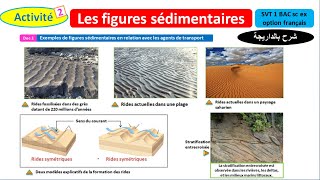 Les figures sédimentaires svt 1 Bac sc ex option français شرح بالداريجة [upl. by Corb]