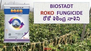 Biostadt Roko Fungicide  రోకో శిలింద్ర నాశిని  Thiophanate methyl 70  WP Roko Fungicide [upl. by Orat]