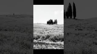 Agfa APX 400 film  Val D’Orcia Tuscany [upl. by Anilehs]