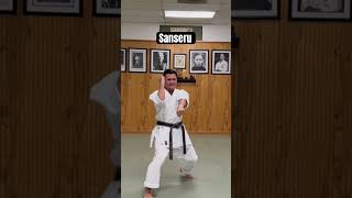 Kata Sanseru karateclass gojuryu martialarts [upl. by Sadiras]