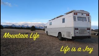 Bus Conversion to Motor Home 104 Look at passenger seat meeting new friends [upl. by Bernie]