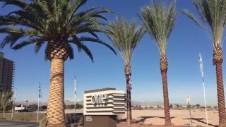 One Las Vegas  Palm Tree Unfurling January 2016 [upl. by Russom]