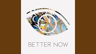 Better Now [upl. by Dranik]