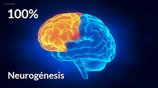 Musica para Generar Nuevas Neuronas  Neurogenesis  Activa el Poder de la Mente al 100 [upl. by Berlinda]