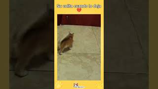 Abre esa puerta inmediatamente  humor shortsvideo memes funny [upl. by Ruggiero]