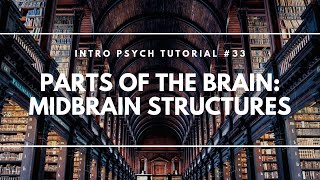 Parts of the Brain Midbrain Structures Intro Psych Tutorial 33 [upl. by Rosenzweig759]