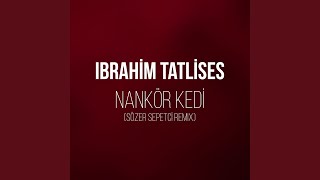 Nankör Kedi Sözer Sepetci Remix [upl. by Drahcir843]