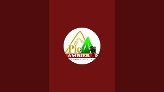 Pic Ambier TV est en direct [upl. by Witt935]