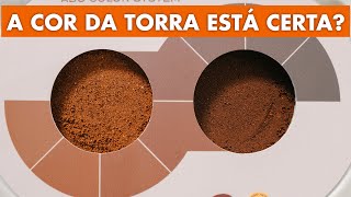 CORES DA TORRA PELO AGTRON [upl. by Dania]