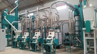 30T maize milling machine project in Nigeria from Hongdefa Machinery [upl. by Andrel]