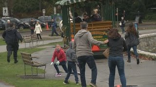 Stanley Park horses spooked by car horn take tourists on wild ride [upl. by Tempa479]