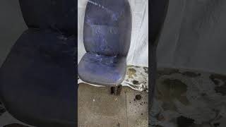 Filthy Car Seat Covered In Moss amp Algae Satisfying Clean satisfyingvideo carseatcleaning oddly [upl. by Fronia]