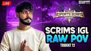 LUFFY IGL TRIDENT SCRIMS RAW POV  BACK TO BACK 3 CHICKEN CHALLENGE  INFGOD IS LIVE [upl. by Cottrell]