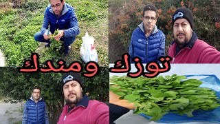 رحنا على توزك و مندك شوفوا أجواء شتاء في اسطنبول [upl. by Dahraf]