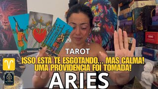 ARIES TAROT â™ˆï¸ SERES FELINOS  A MISSÃƒO NUNCA Ã‰ PEQUENA MUITO SE ACUMULOU E AGORA ISSO VAI MUDAR [upl. by Elgna72]