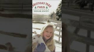 Christmas Tree Farm  Tay edits  taylorswift youtubeshorts [upl. by Rammus760]