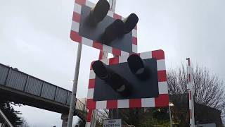 Rainham Level Crossing with New Lights Boxing Day [upl. by Ellerehs248]