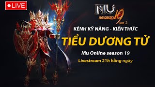 Hướng dẫn Newbie chơi IK và SUM  MU Online season 19  Ngày 19102024 [upl. by Edina]