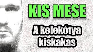 Kis mese  A kelekótya kiskakas 🐓 [upl. by Manus]