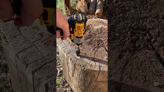 DeWalt DCF845 XR impact driver driving a 9 inch log screw dewalttough [upl. by Aneen]