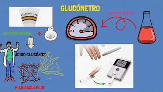 GLUCÓMETRO  CÓMO FUNCIONA [upl. by Hewart]