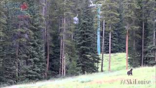 The Lake Louise Gondola  Canada [upl. by Hadnama]