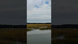 🚣 Seagrass 🛥️ Greets Me 🏝️ Every 🛶 Morning 🚣‍♂️ Factory Creek 🏖️ Ladys Island 🚣‍♀️ Along the 🚤 ICW⛵ [upl. by Irrab899]