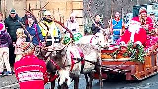 Reindeers in Elgin Xmas 2023 [upl. by Fidelia]